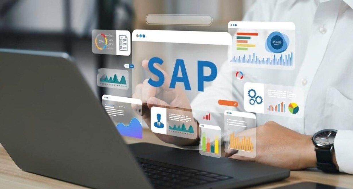 SAP sandbox access